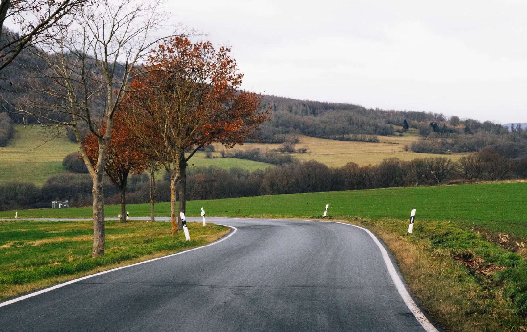 Peaceful winding road through autumn fields and trees, showcasing fall foliage.